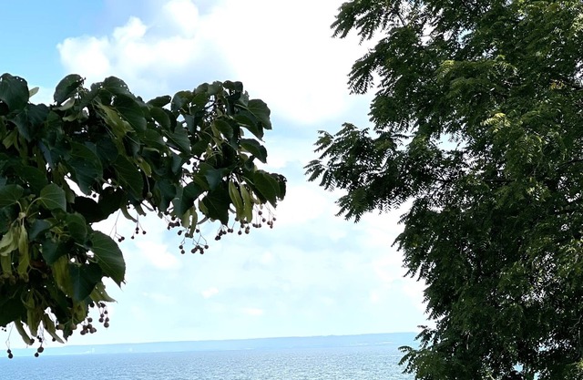 Historic & Charming Lakefront Gem in Burlington