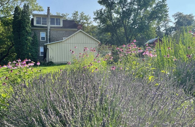 Historic Farmhouse and Gardens on 67+Acres