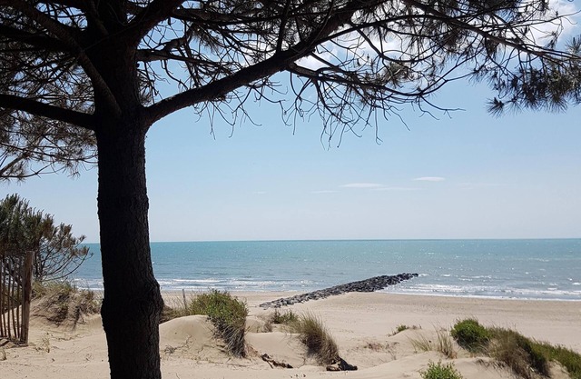 Historic town house roof terrace only 9 km to sandy beach - Vive la France