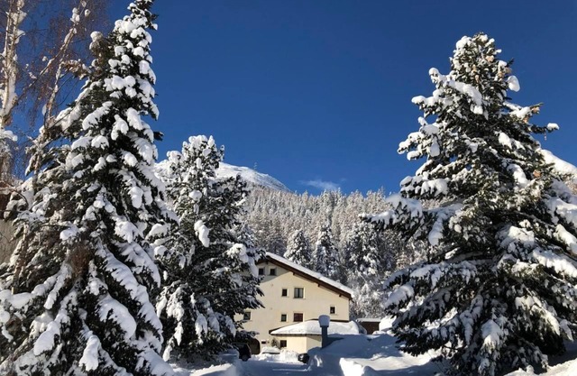 Holiday apartment La Punt-Chamues-ch for 1 - 2 persons with 1 bedroom - Holiday apartment