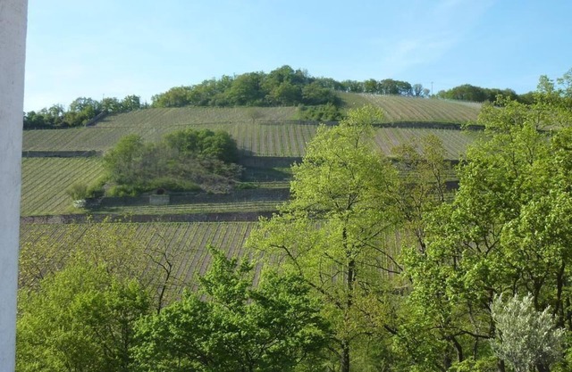 Holiday apartment Rüdesheim am Rhein for 1 - 2 persons with 1 bedroom - Holiday apartment in one or