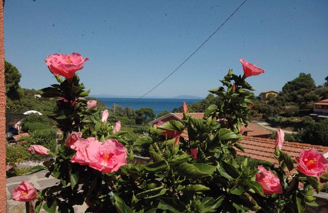 Holiday apartment with panoramic view