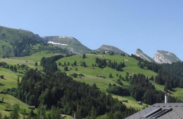 Holiday apartment Wildhaus for 3 - 4 persons with 2 bedrooms - Multistorey holiday home/maisonette