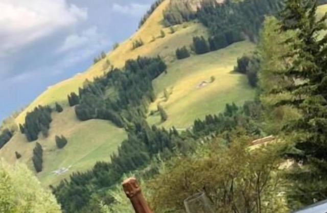 Holiday house Moléson-sur-Gruyères for 1 - 8 persons with 4 bedrooms - Holiday house