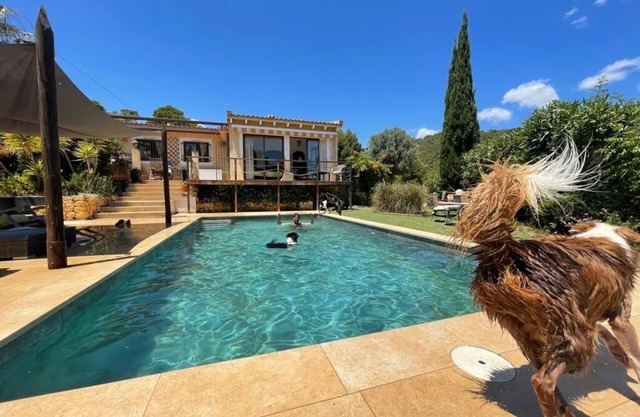 Holiday home for people with dogs!