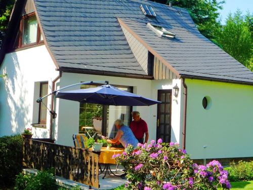 Holiday home in Saxony with private terrace