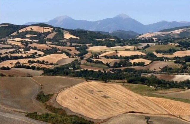 Holiday house Urbino for 1 - 16 persons with 6 bedrooms - Holiday house