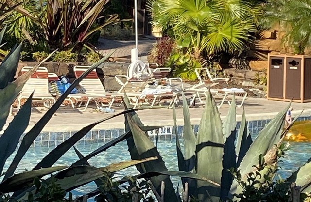 Holiday Inn Club Vacation Orange Lake