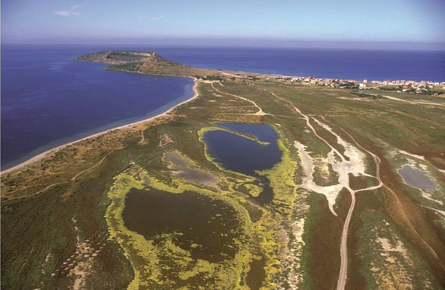 holidays on the beaches of Tharros