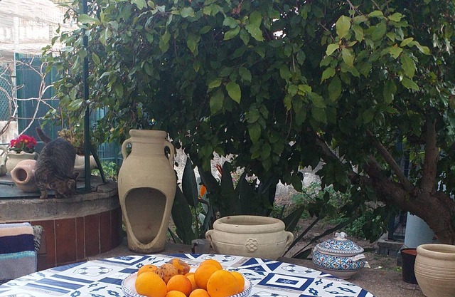 Homerez - Beautiful apartment With sea view and garden
