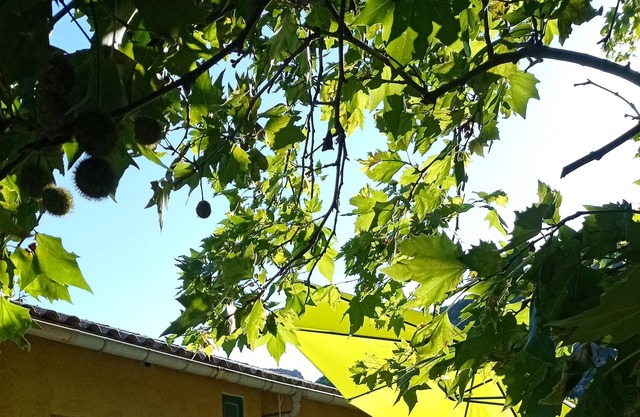 Homerez - Big appartement for 10 ppl. with terrace at Gorniès