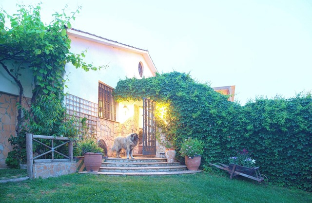 Homerez - Luxurious Villa in Sils with Pool and Garden