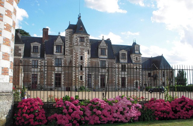 Homerez - Manor in Vernou-sur-Brenne