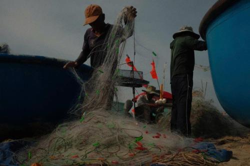 Homestay Cây bàng biển