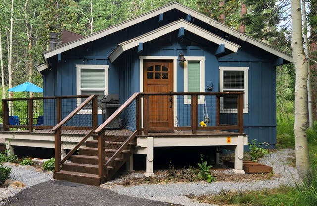 Homewood Cabin Among the Pines with private hot tub - dog-friendly