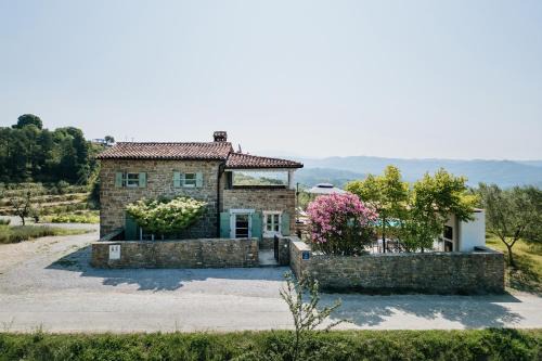horizon 241