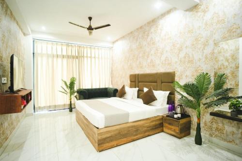 Host jatin Kasauli Mountain Mist 7o1827o7o3