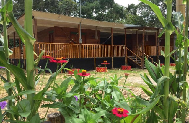 Hostal Caño Nevera