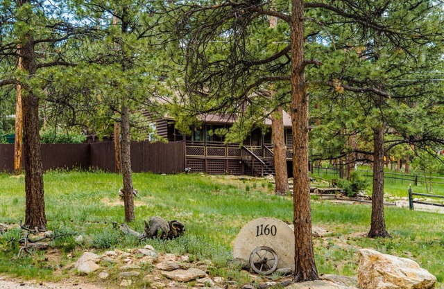 Hot tub, fireplace & turkeys near National Park