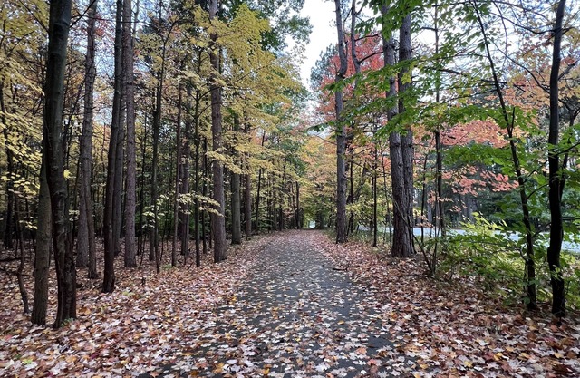 Hot tub, Nature, Parks and Beaches! Right in between Holland and Grand Haven.