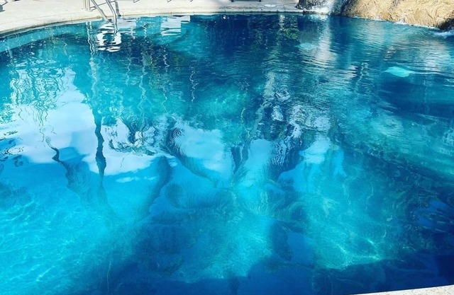 Hotel Coral Reef