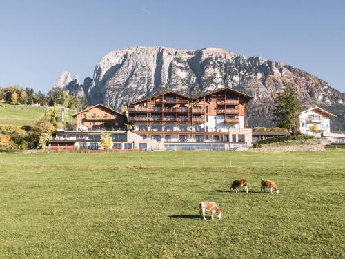 Hotel Emmy - five elements