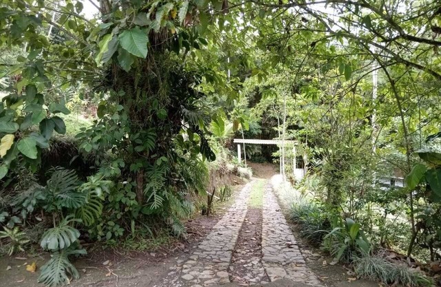 Hotel Green Mountain Turrialba