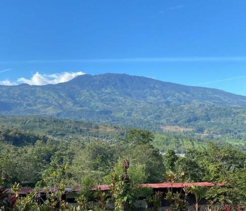 Hotel Green Mountain turrialba