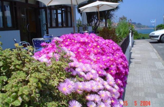 Hotel Los Laureles