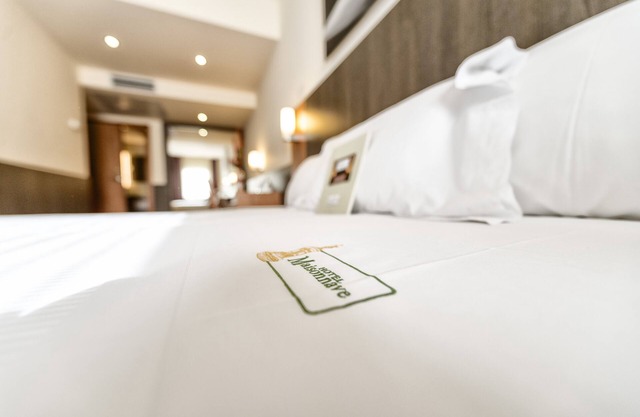 Hotel Maisonnave