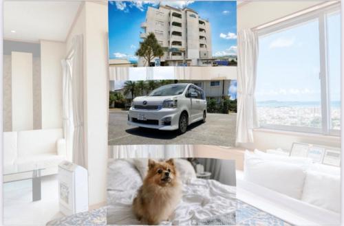 HOTEL PACIFIC VIEW Rental car included & pet-friendly