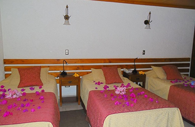 Hotel Puku Vai