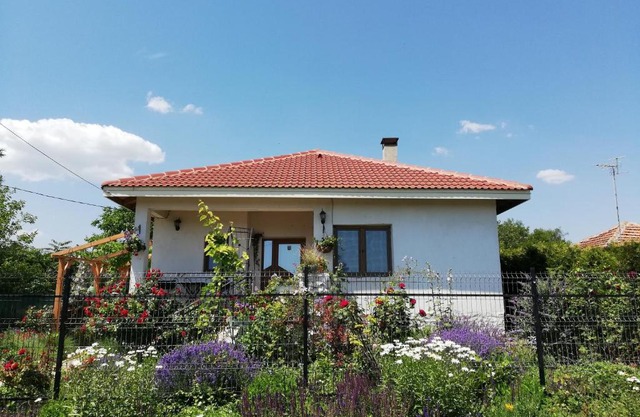 House Albena