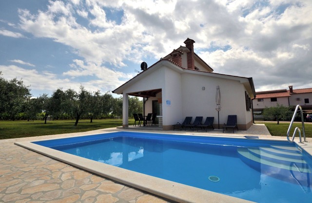 House Danci (91441-K1) - Lasici