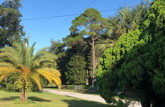 House is your House, quiet, nice and cool place, close to the beach & the river