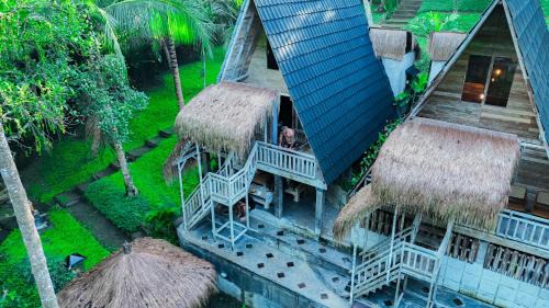 House of Bima