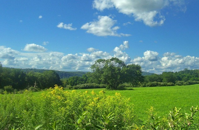 House on Appalachian Trail, walking distance from NYC trains. 3bd/1ba, 3 acres