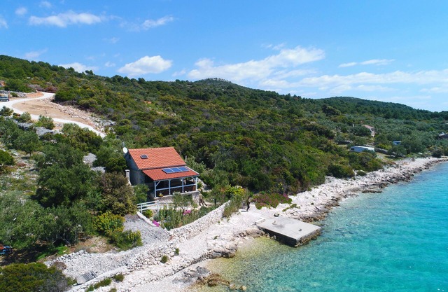 House Starfish (14504-K1) - Tkon - island Pasman