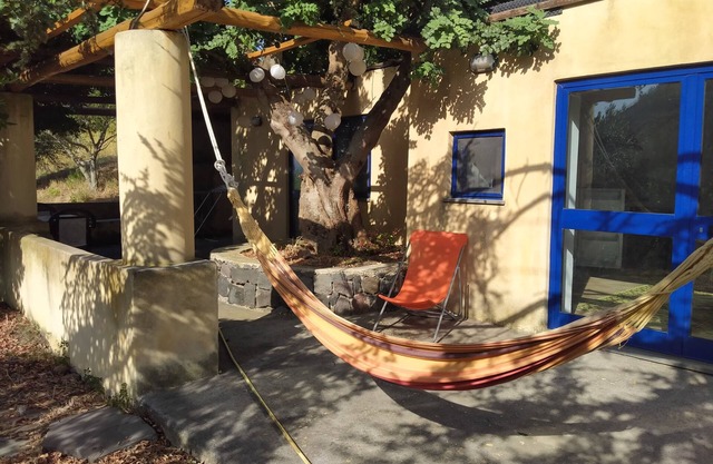 House under a carob tree, among the vineyards in Salina