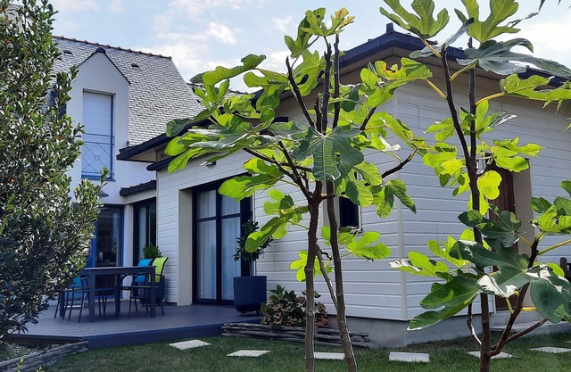 house/villa - BATZ SUR MER