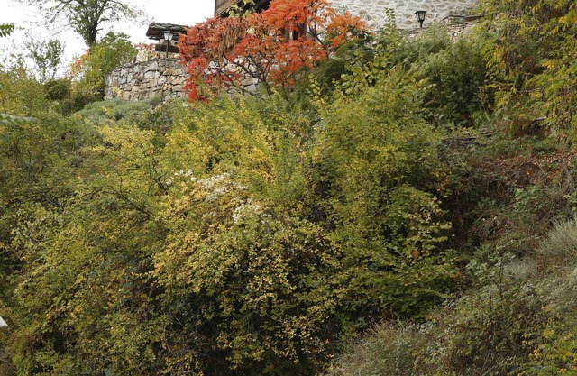 House with garden in authentic mountain village, with plenty of peace, nature and clean air.
