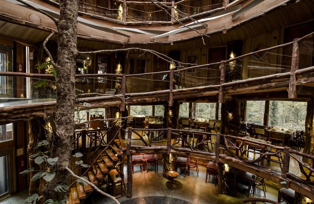Huilo Huilo Nothofagus Hotel & Spa