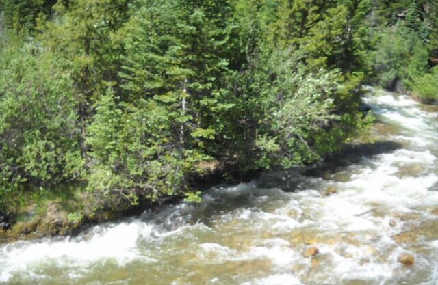 Ideal for a family! Close to Denver, lots of outdoor activity nearby.