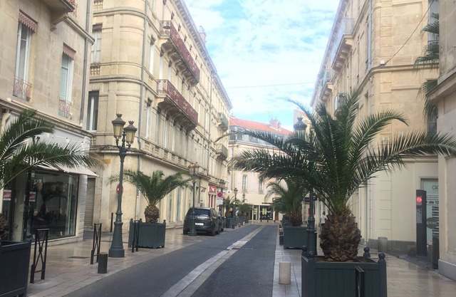 Ideally located apartment, Nîmes center, renovated