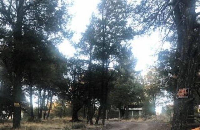 Idyllwind Hills Cabin
