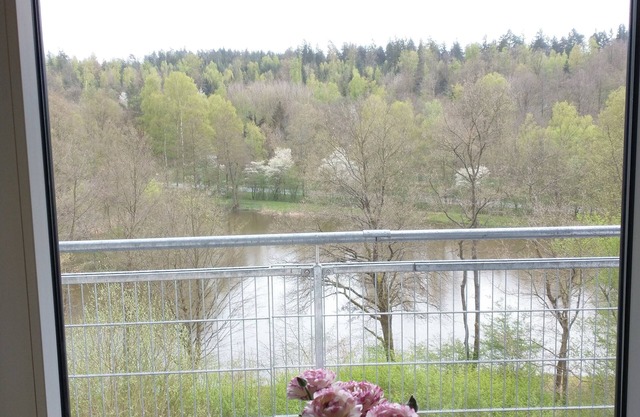 Immensee III Apartment with lake view surrounded by forest