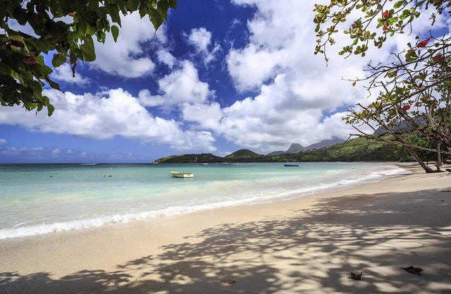 Impeccable 3-bed Villa in Anse Boileau!