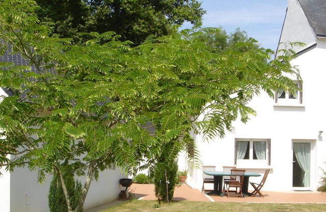 In Moëlan sur mer, near the wild coast,