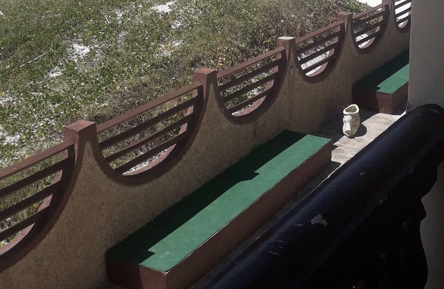 In the face of the goal!