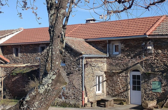 In the heart of the Cévennes, gîte la Treille du Mesous